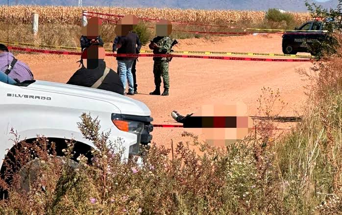 Identifican a ejecutados en un campo de cultivo en Cuauhtémoc; tenían 22 y 24 años