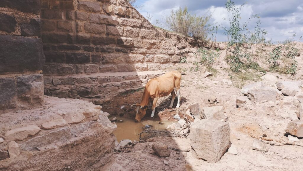 Durango en desastre agropecuario, esta semana se pide la declaratoria de emergencia: SAGDR