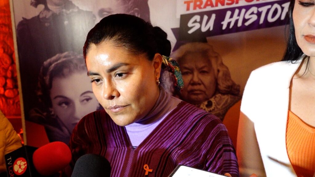 Hay un presupuesto raquítico para ayuda a la mujer, próximo Gobierno debe ser más sensible: Eufrosina Cruz