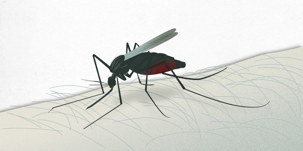 OMS prueba segunda vacuna contra la malaria