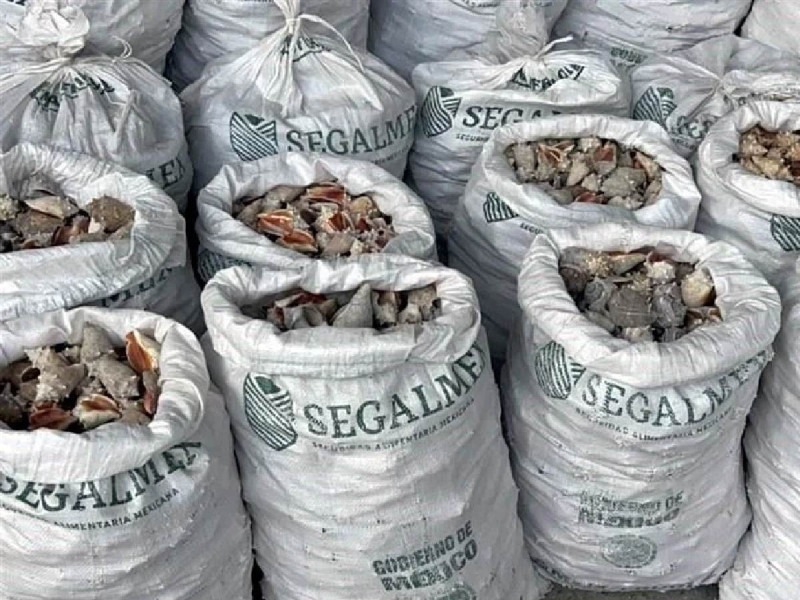 Hong Kong decomisa metanfetamina en costales con logo de Segalmex
