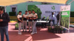 árboles frutales