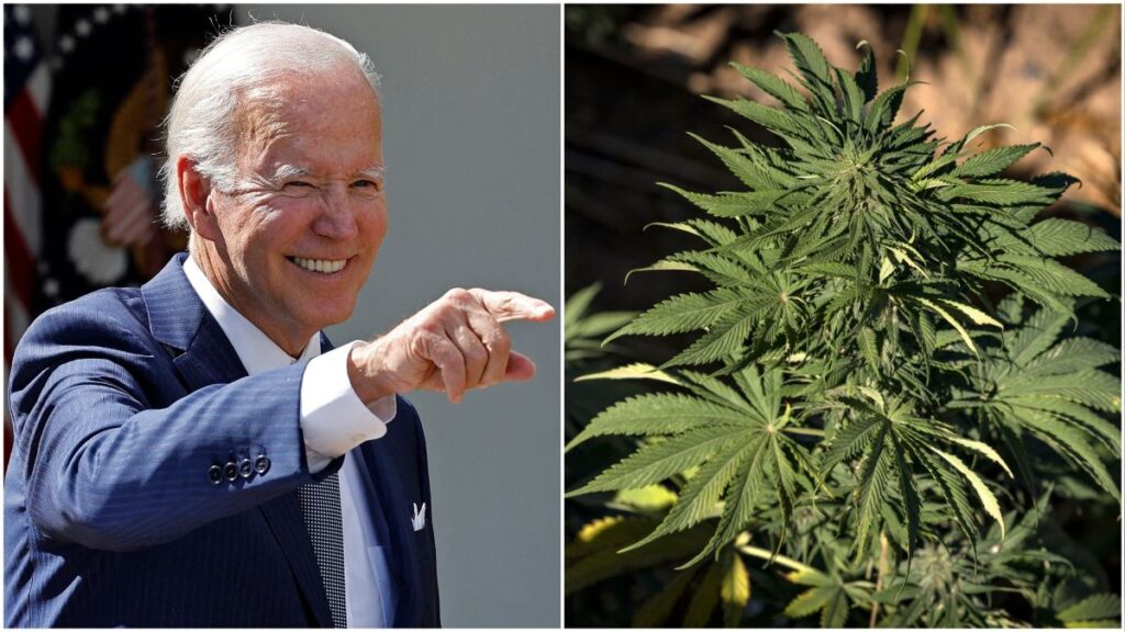 Biden indulta a condenados por consumo o posesión de marihuana