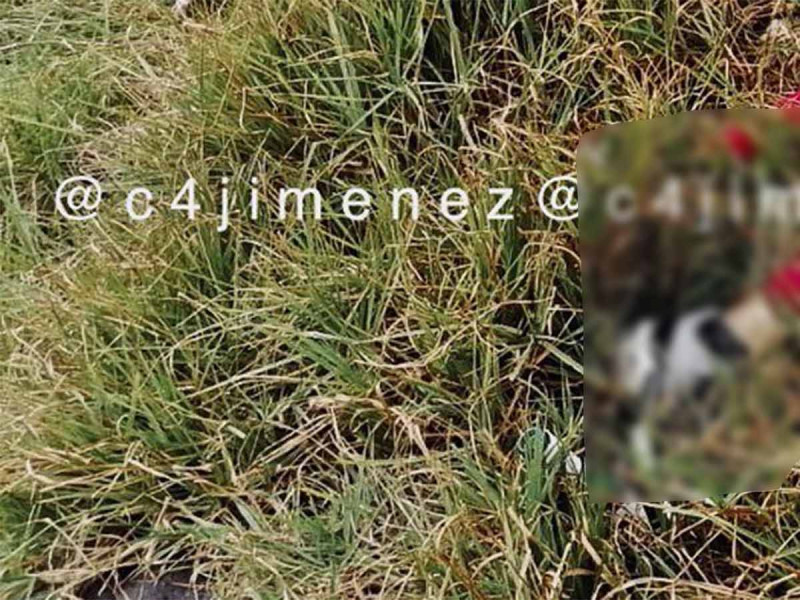 Localizan sin vida de la policía Alma Rosa en CDMX