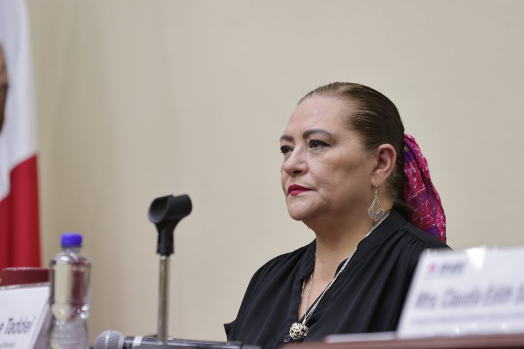 INE rumbo a callejón sin salida, admite Guadalupe Taddei