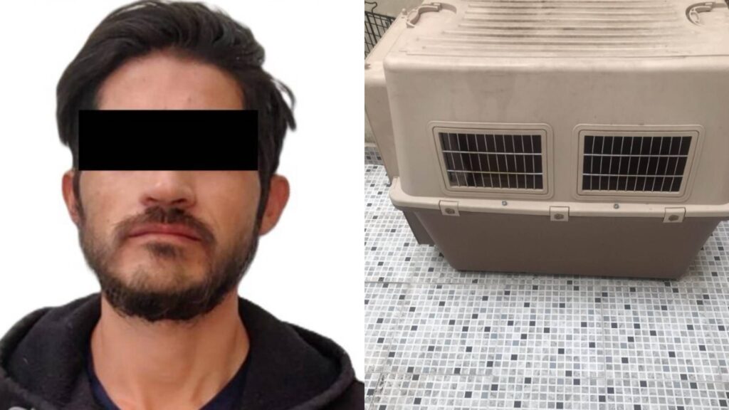 Detenido en Tecámac por maltratar perros: un caso que conmociona al Estado de México