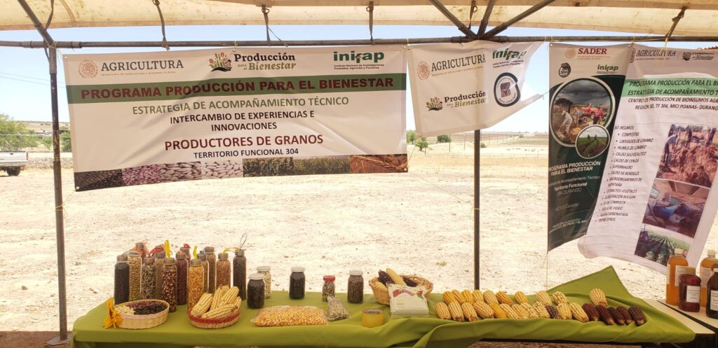 Agroecología aumenta rendimientos y reduce costos; Escuelas de Campo
