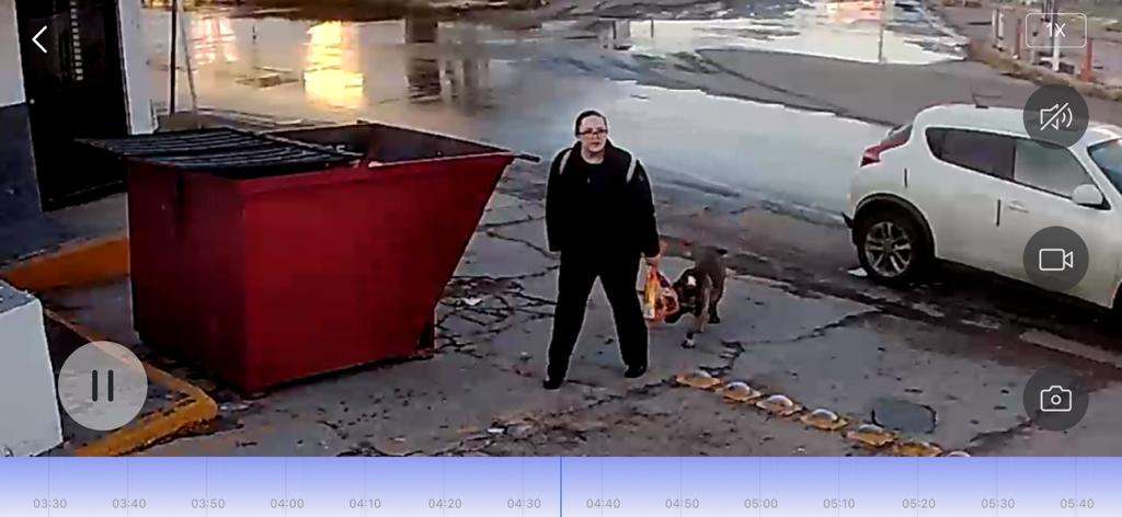 Captan mujer abandonando un Can amarrándolo en un contenedor de basura 