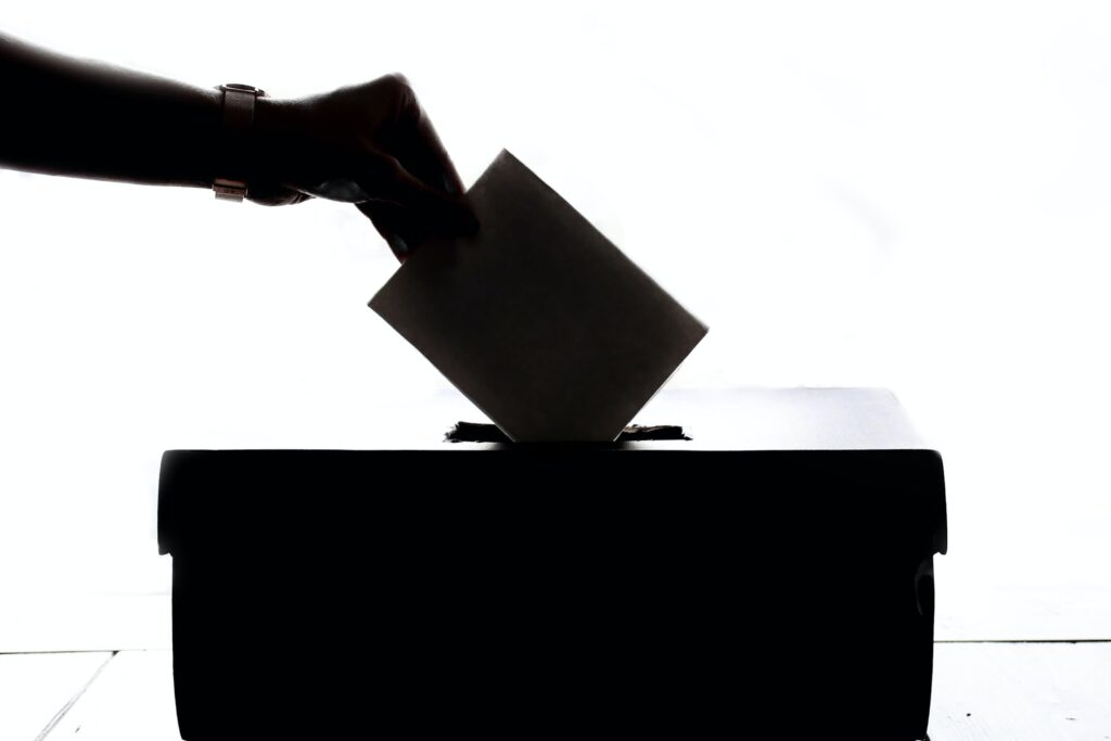 Casi la mitad de la población mundial votará en elecciones durante 2024