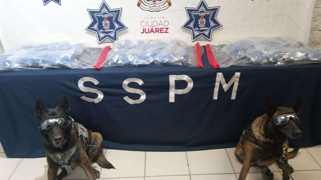 Aseguran millonario cargamento de cristal; logran detener a quien lo transportaba