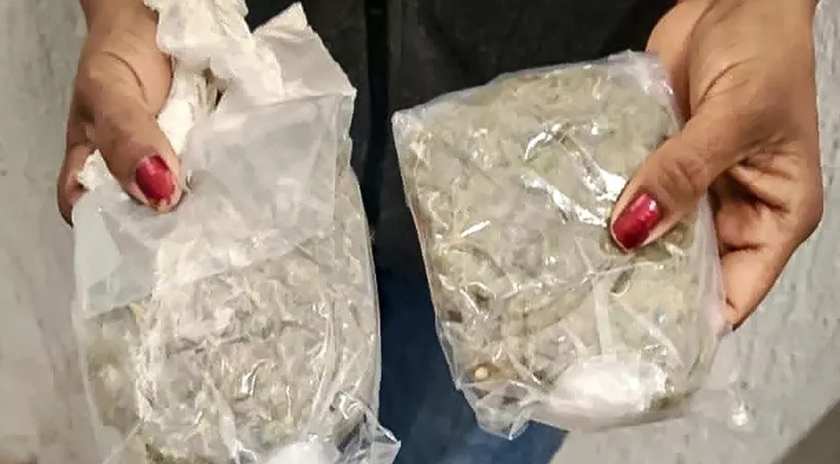 Detienen a mujer que intentó ingresar droga al Cereso de Pachuca
