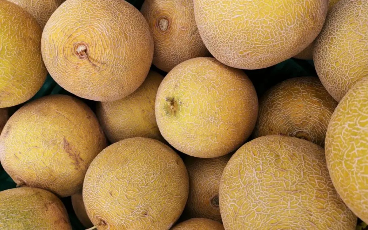 Cierran procesadora de melón en Sonora por brote de salmonella que dejó 8 muertos