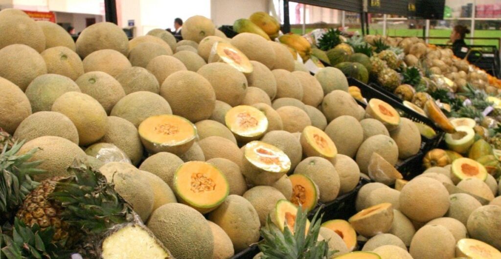 Cierran procesadora de melón en Sonora por brote de salmonella que dejó 8 muertos