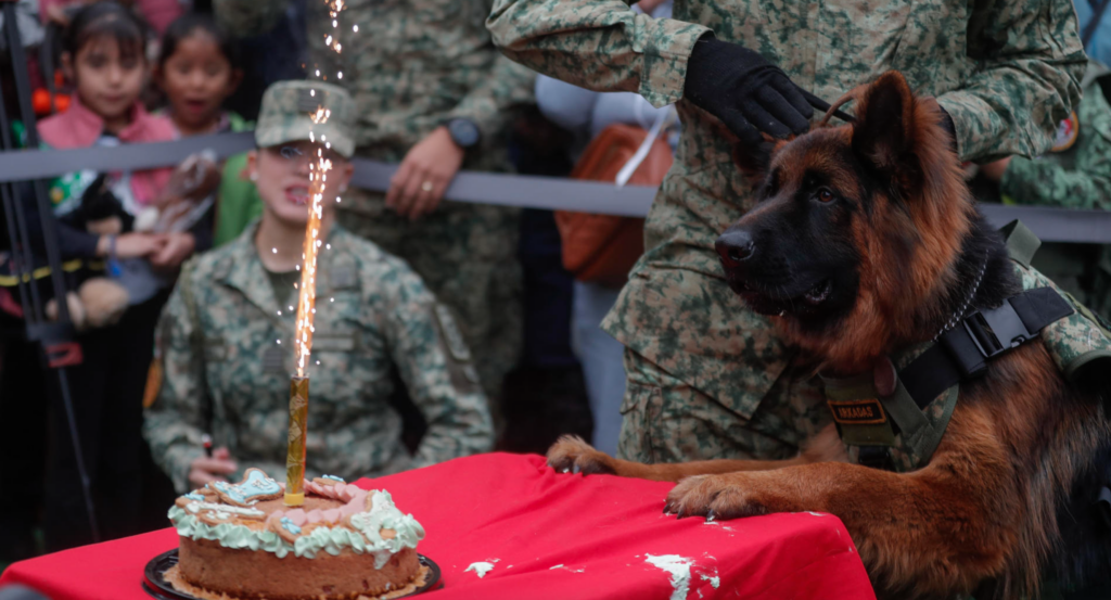 Festejan cumpleaños del «soldado» «Arkadas»