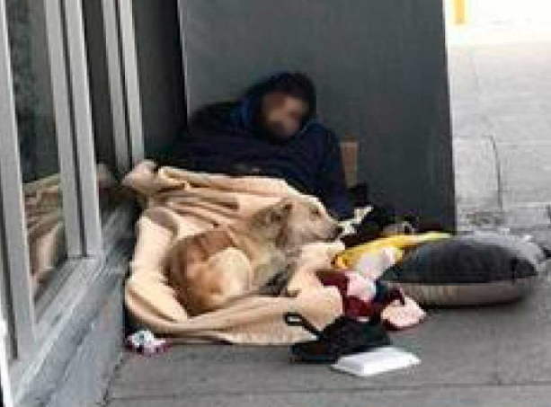Localizan sin vida a hombre en situación de calle acompañado de su perrito