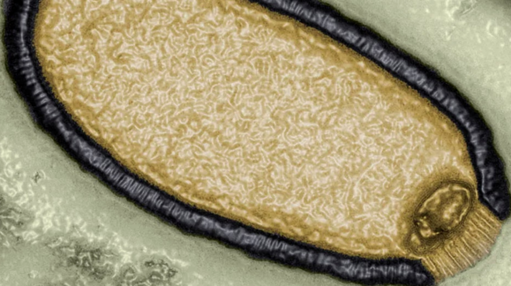 Advierten que el ‘virus zombie’ del Ártico podrían generar una nueva pandemia