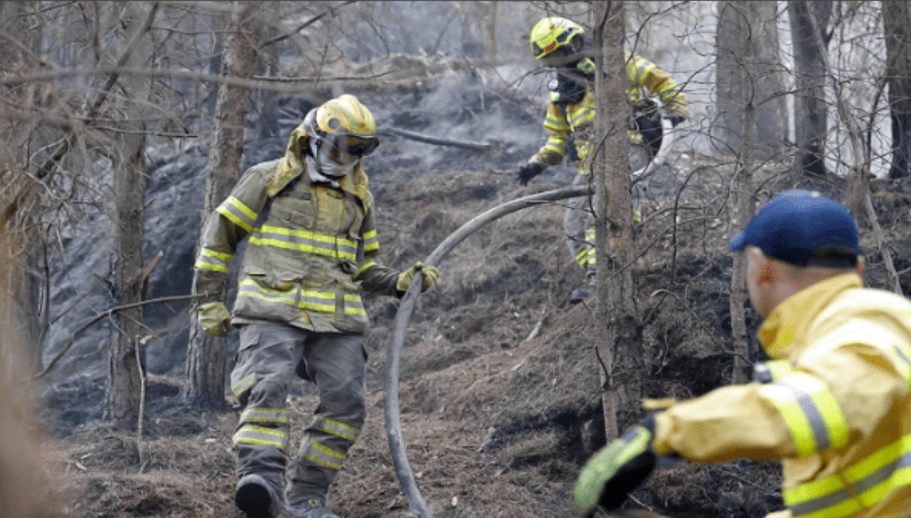 Más de 7 mil hectáreas de bosque se han perdido por incendios en Colombia