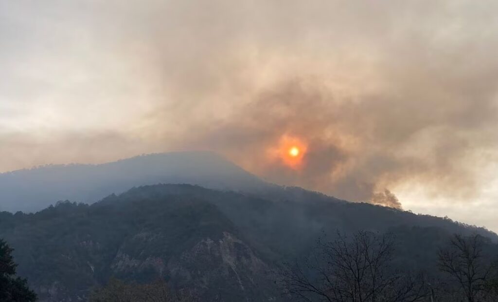Incendio forestal afecta 80 hectáreas en el sur de Nuevo León