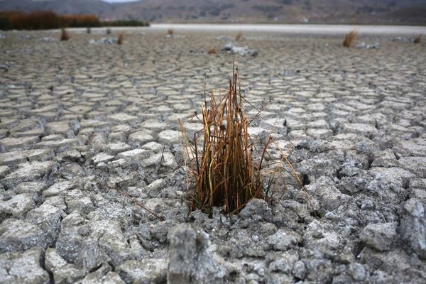 Bolivia destina recursos para enfrentar sequías e incendios