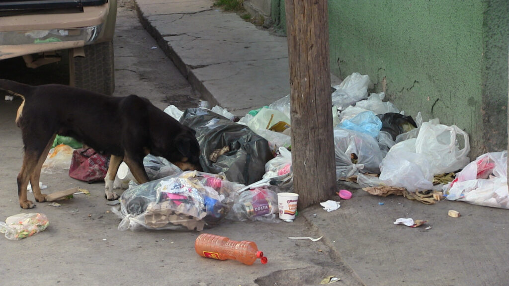 Vecinos se inconforman por trabajos del CECOCAM