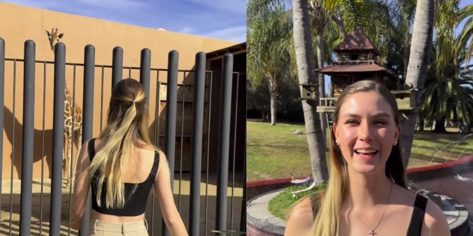 Nirvana Hank presume que tiene una jirafa en casa y desata polémica en redes sociales