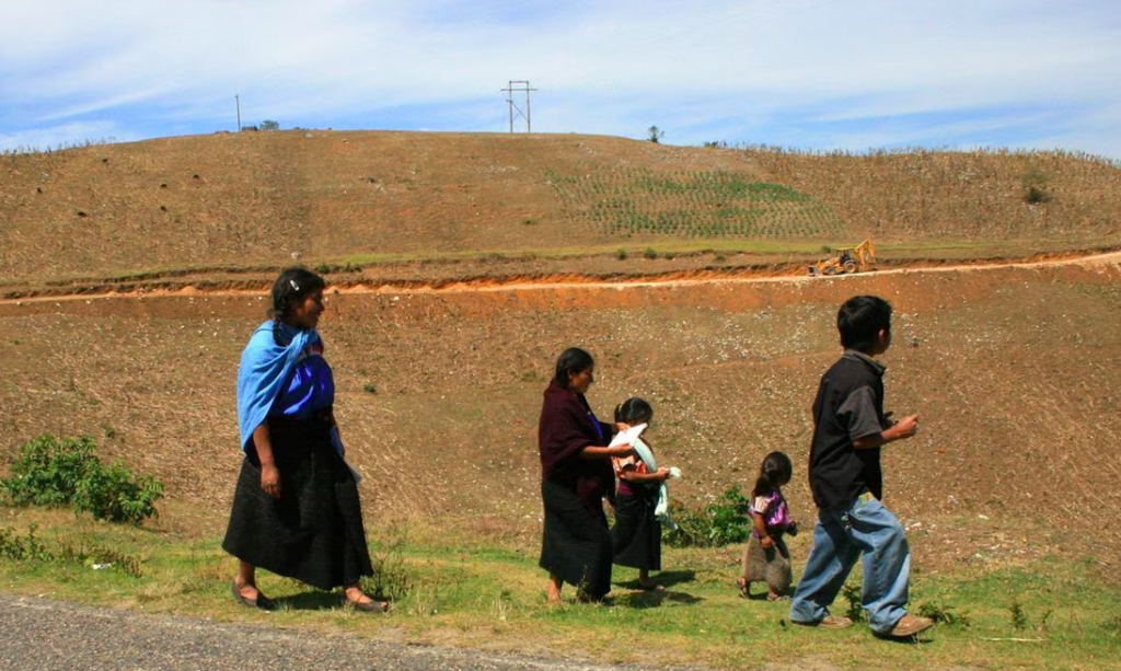 PRI busca apoyar a familias indígenas y afromexicanas con reforma constitucional
