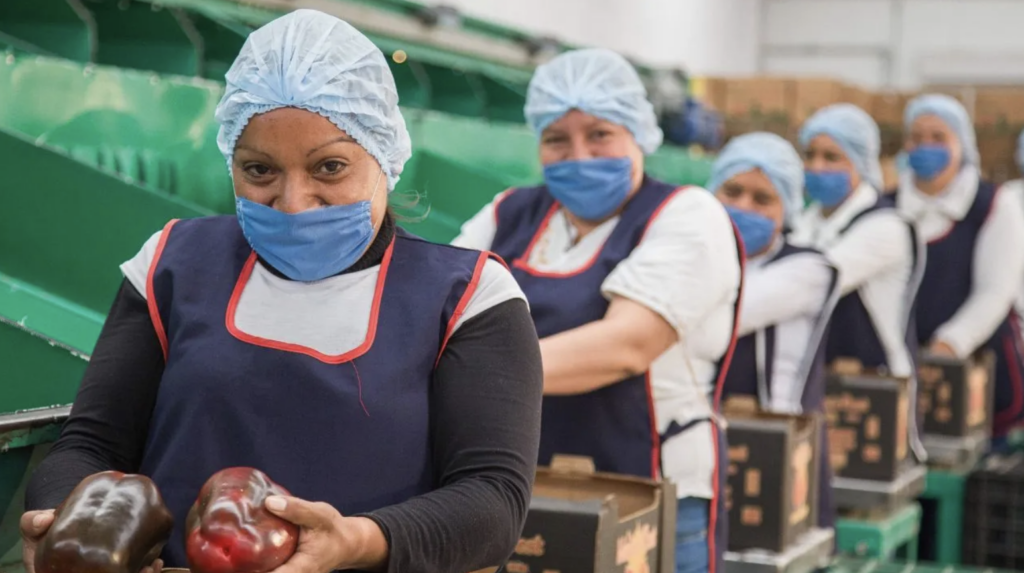 Más de 300 millones de toneladas de alimentos: el gran logro de México en el 2023