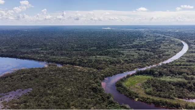 ¿Selva amazónica podría desaparecer? El terrible pronóstico que dan para el 2050