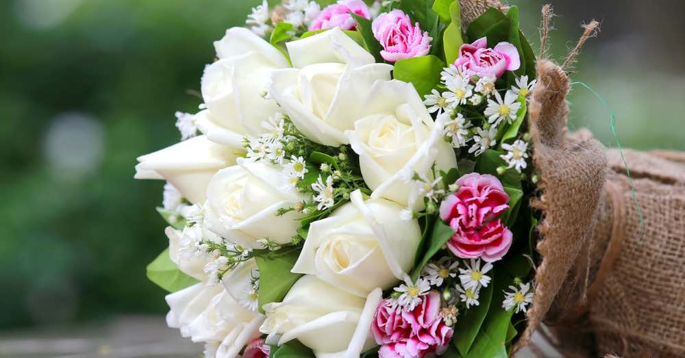 Flores en el 29 de febrero: Un gesto romántico en esta fecha especial