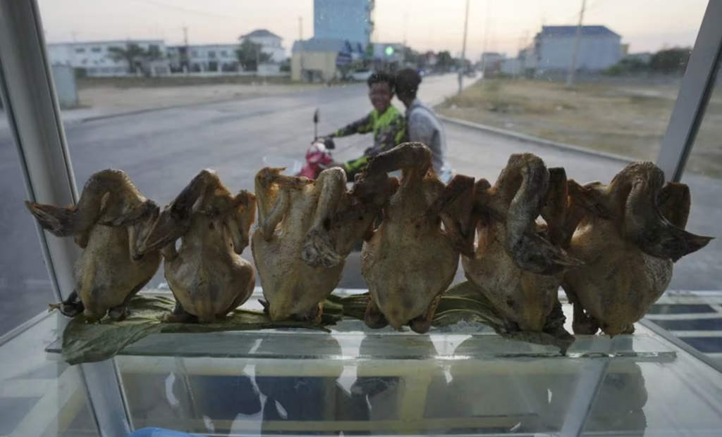 Gripe aviar provoca la muerte de un niño de 9 años en Camboya