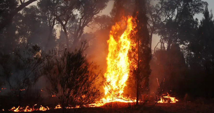 Australia evacúa a 30 mil personas por incendios forestales