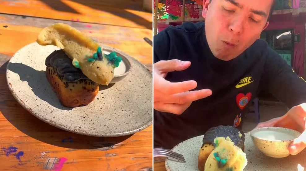 Cuestionan el precio elevado del tamal de ajolote: ‘Lo han gentrificado’