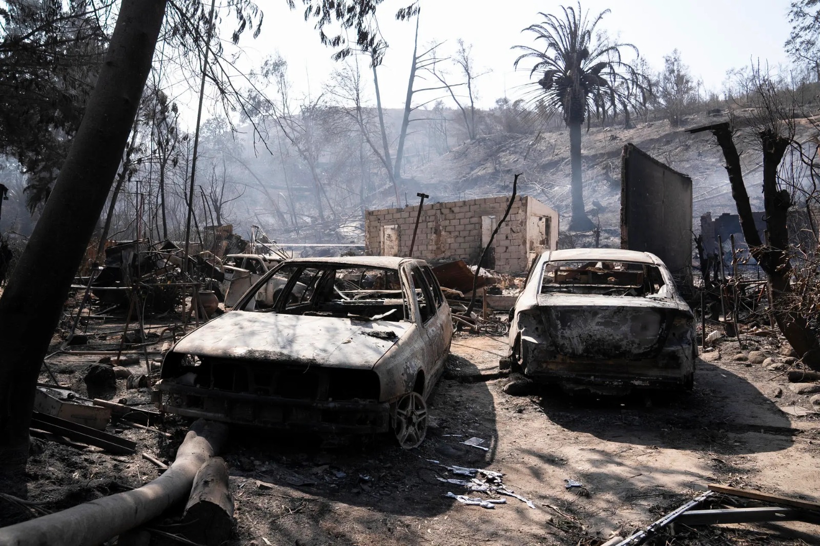 Chile agradece ayuda de México para damnificados por incendios | Notigram