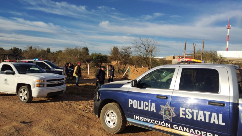 Murió calcinado abrazado de su perro (video)