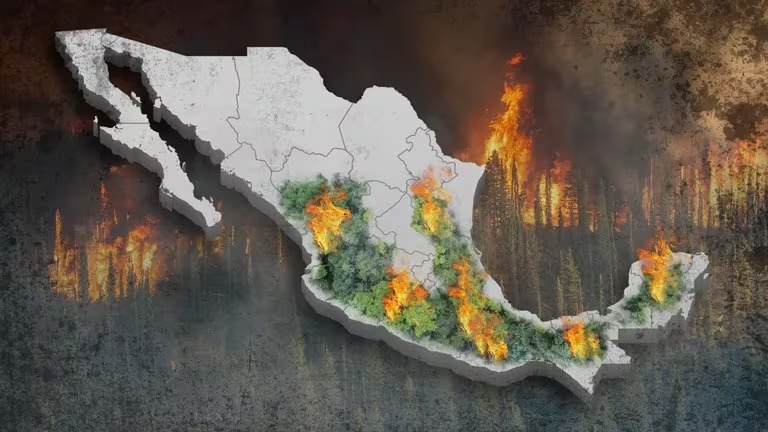 ¡Oficial! Vehículos tododerreno no podrán acudir a zonas forestales en NL