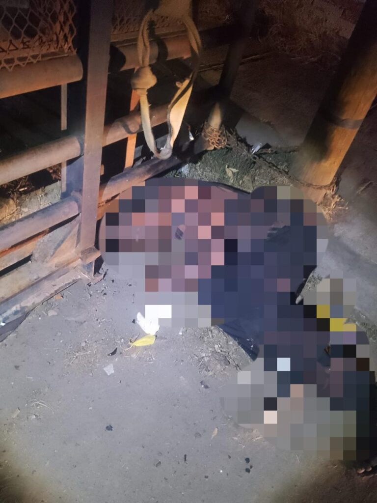 Encontraron en la calle cadáver de abuelito