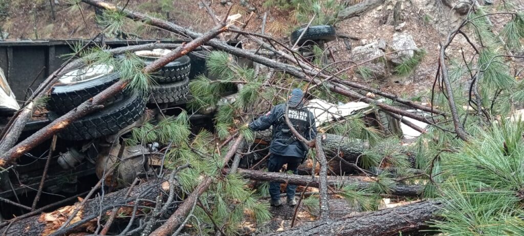 Camionero murió al caer a profundo barranco
