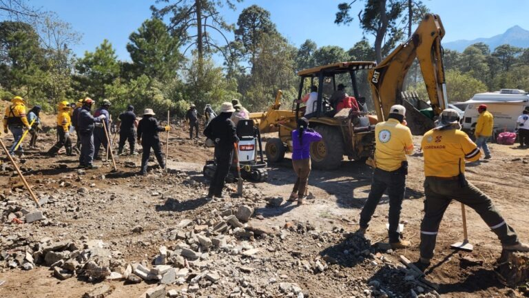 Encuentran restos humanos durante la búsqueda de Pamela Gallardo en el Ajusco