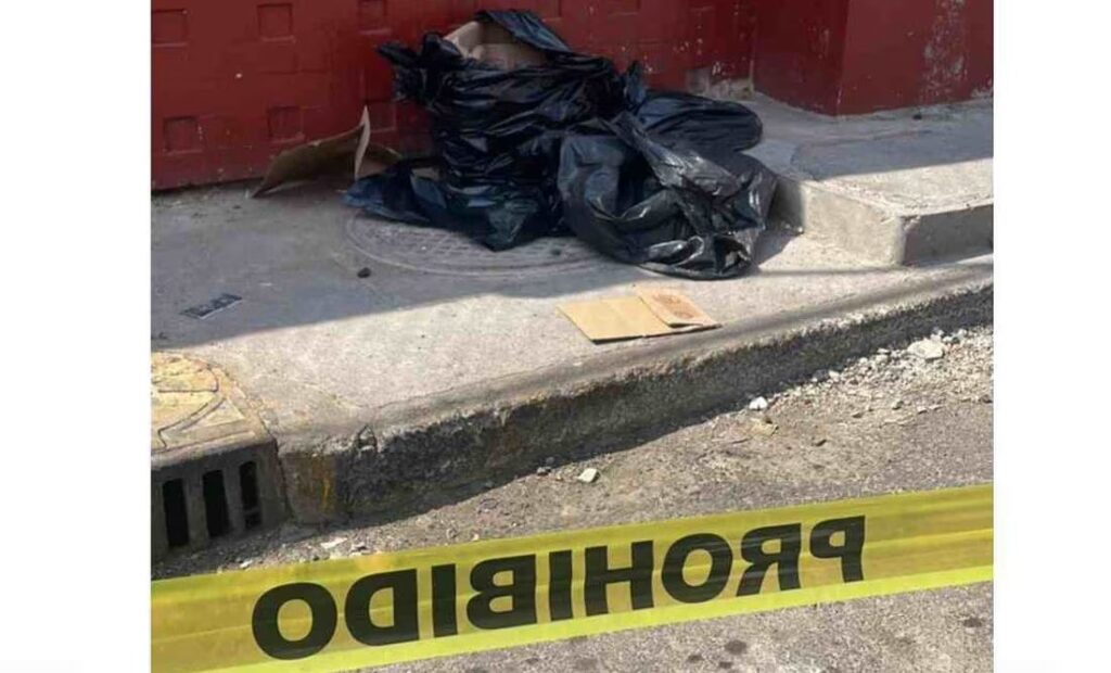 Localizan restos de animales mutilados en bolsas en mercado de CDMX