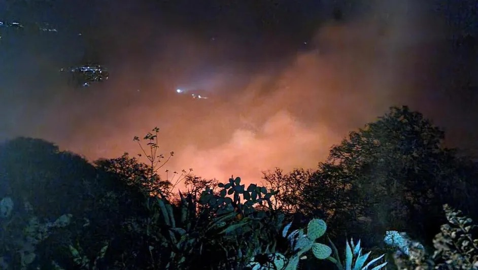 Desalojan a 250 personas por incendio forestal en Querétaro