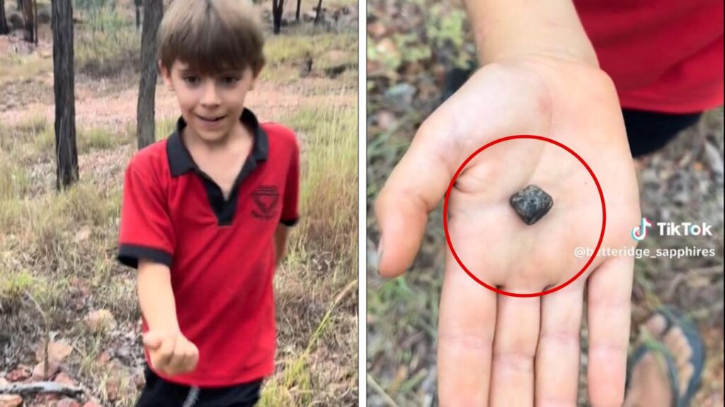 Niño de 7 años encuentra un zafiro cerca de su casa … y está valorado en 6,500 dólares.