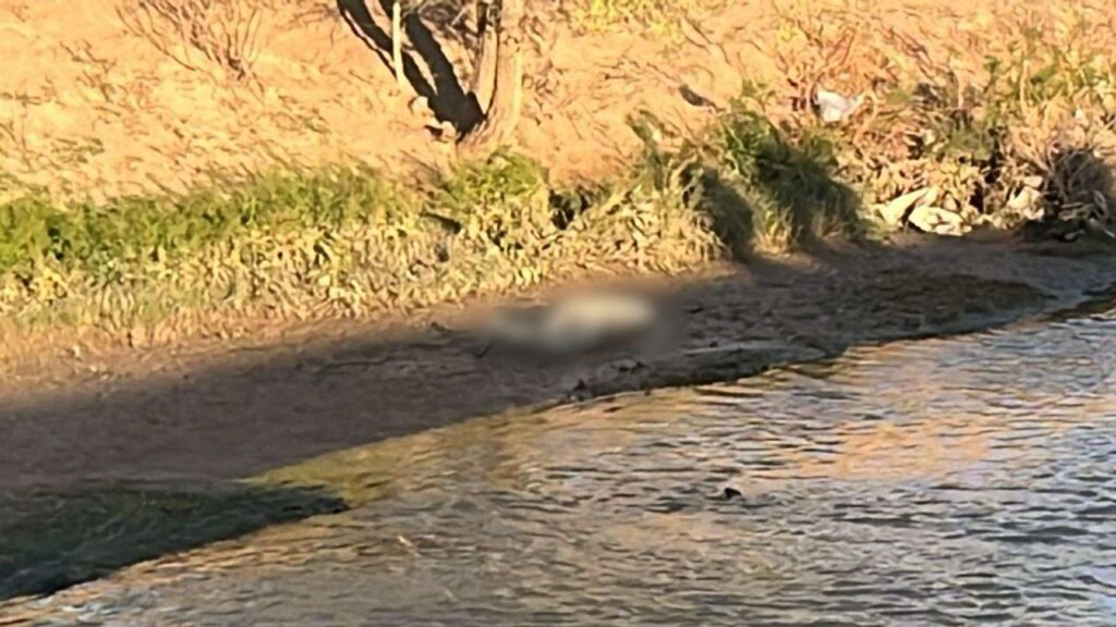 Asesinan a hombre con balazo en la cabeza