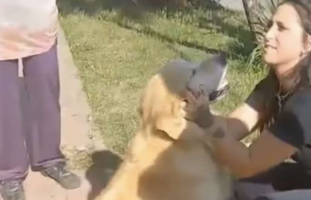 Drama en Argentina: Mujer solicita matar a su mascota en carnicería y enfrenta cargos por maltrato animal