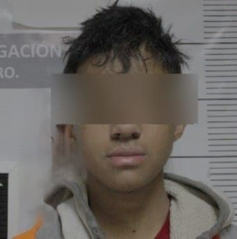 Pasará casi 5 años en prisión por el robo en dos viviendas y un local comercial