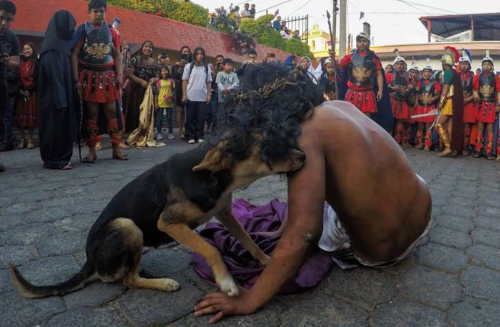 Perro callejero reconforta al intérprete de Jesús en La Pasión de Cristo