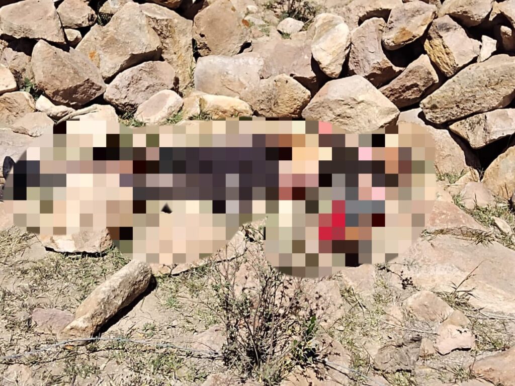 Identifican a mujer encontrada muerta en despoblado