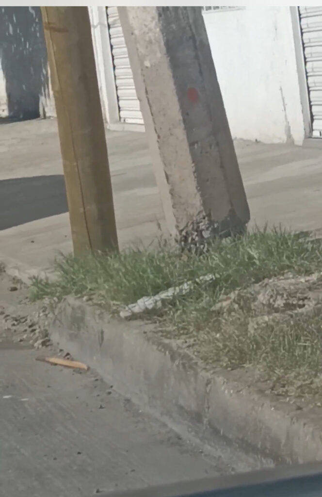 Poste de concreto a punto de caer sobre peatones (video)