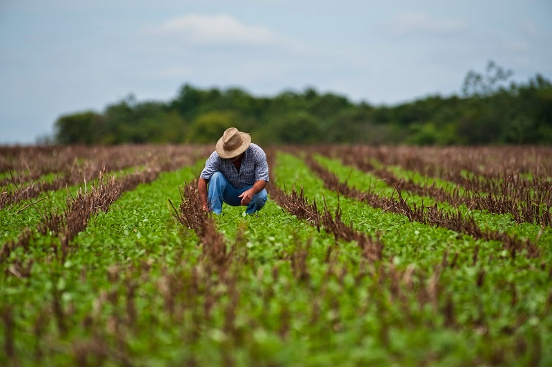 Agricultura en México enfrentará estrés hídrico extremadamente alto en 2050