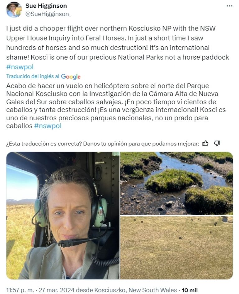 Con disparos aéreos sacrificarán miles de caballos salvajes en Parque Nacional de Australia