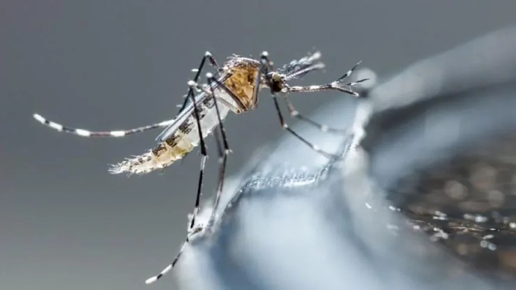 Declaran emergencia nacional por aumento de casos de dengue en Guatemala
